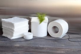 Best paper towel wholesale shops