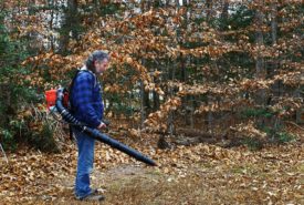 How to spot the best leaf blowers?