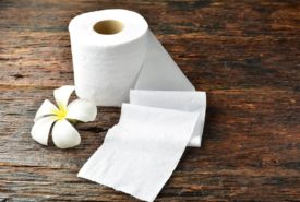 Paper towel wholesale dealers and manufacturers