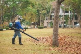 Tips for buying a gas leaf blower
