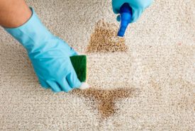 Top 6 ways to keep your carpet clean