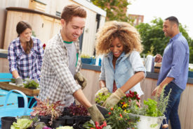 Benefits and  guide to build a community garden