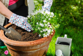 Build your own large garden planter