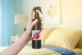Control Bed Bugs with Effective Sprays