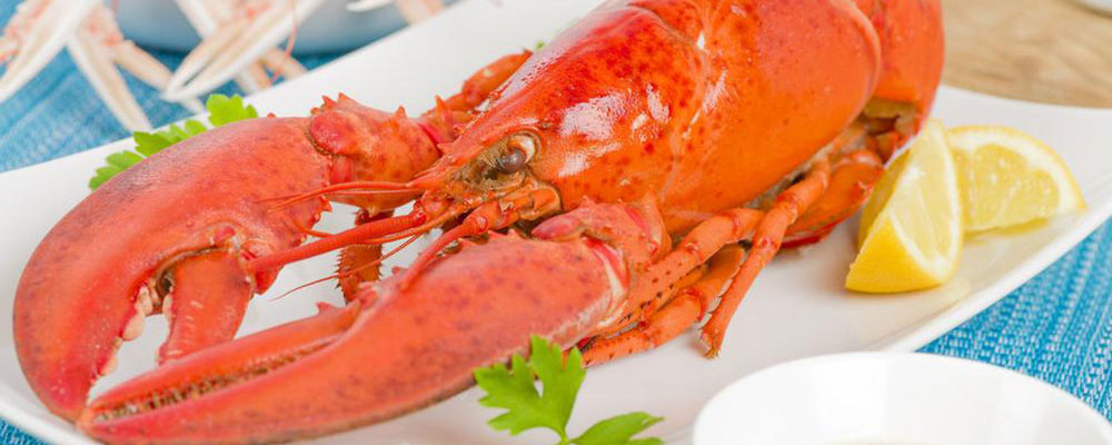 Everything you need to know about Red Lobster