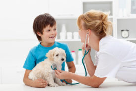 Factors that can affect the cost of pet care