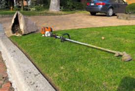 Factors to consider before buying a weed trimmer