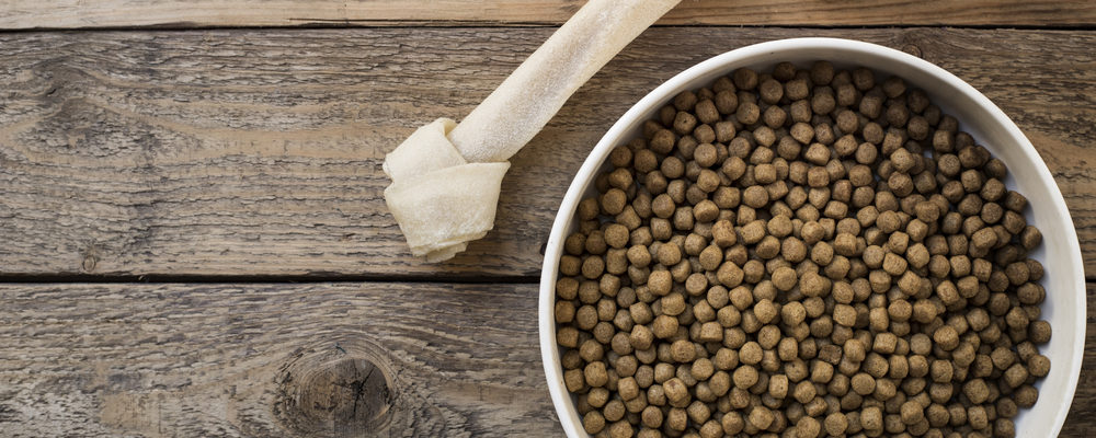 How to Pick the Right Dog Food for a Sensitive Stomach