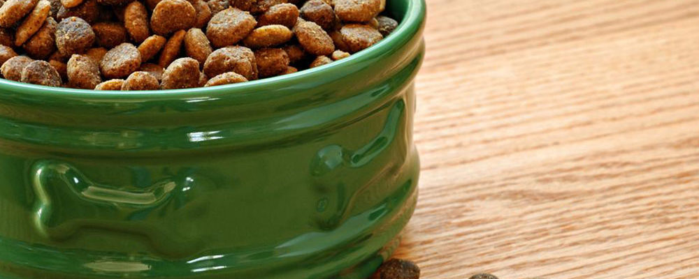 Top 10 pocket friendly dry dog and puppy food