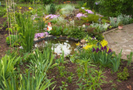 Why is landscape designing important for your garden