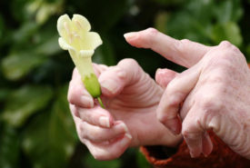 3 treatments available for rheumatoid arthritis