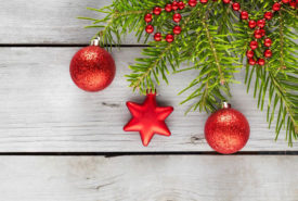 5 best Christmas ornaments you can buy this festive season