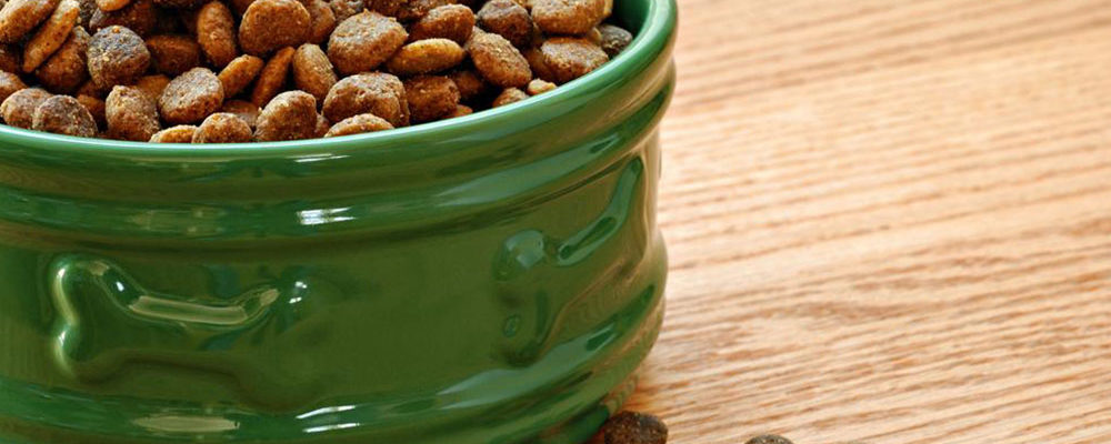 5 best dog foods that are great for your allergic pet