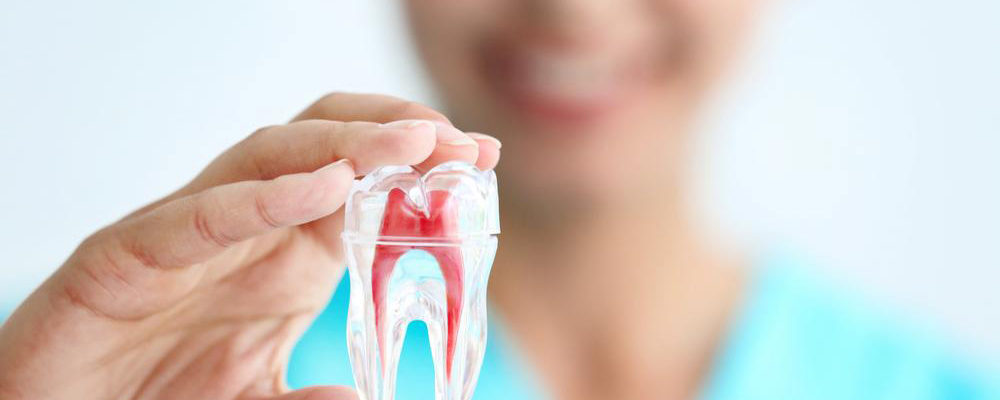 6 things to check before you visit the dentist