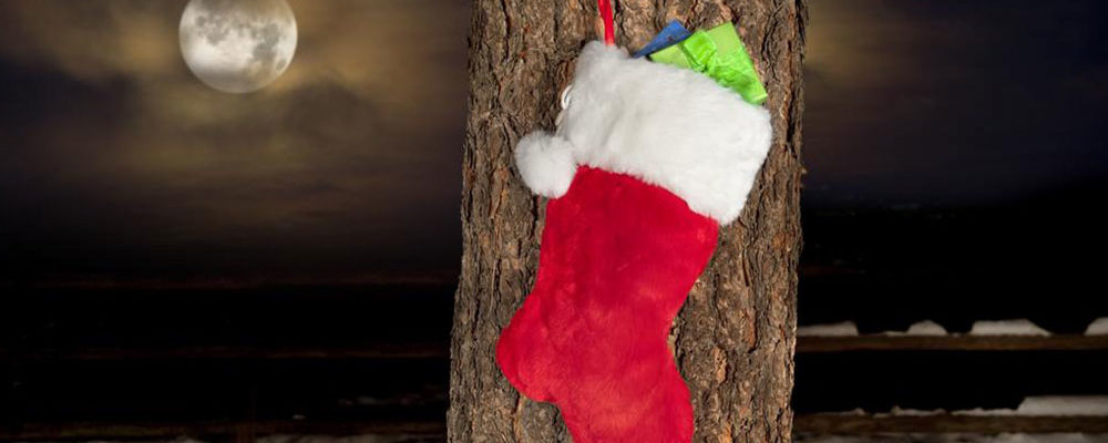 6 things your kids would love in their Christmas stockings