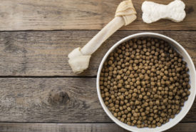 7 popular dog food brands to choose from