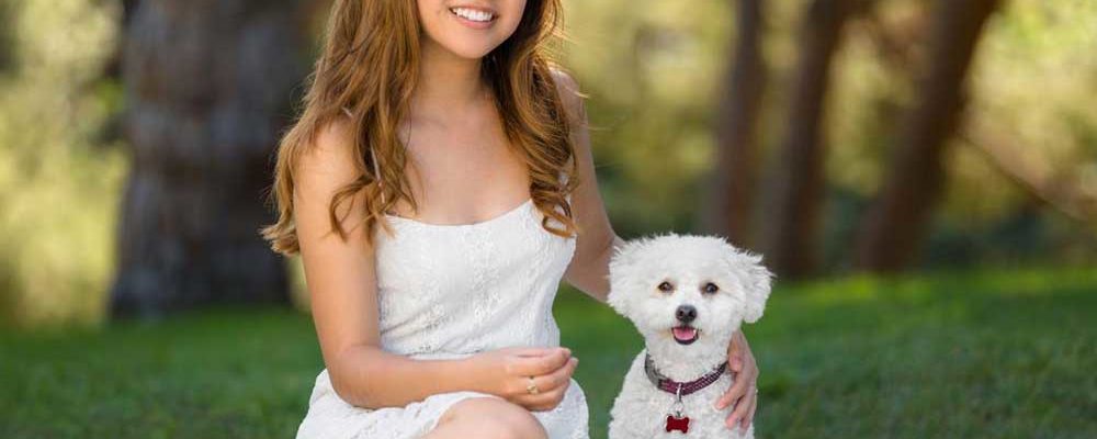 All You Need to Know About Maltipoo Dogs