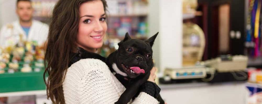 Everything You Need to Know About French Bulldog Puppies