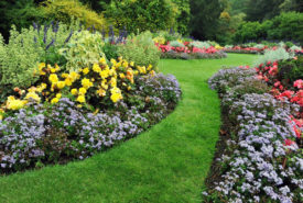 Green spaces and garden remodeling