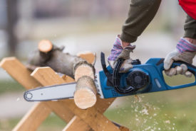 How to choose a chainsaw for your garden