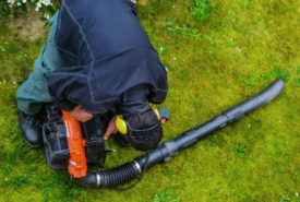 How to choose the right leaf blower for your garden