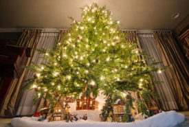How to choose the right sized Christmas tree for your home