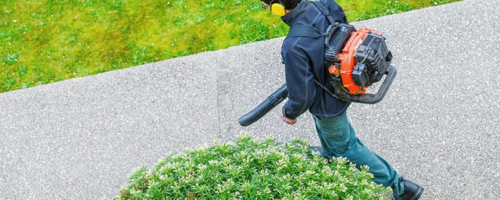 Know more about Stihl leaf blowers