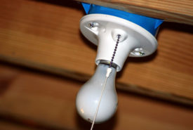 Light bulbs to lighten up the house