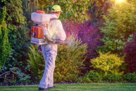Pest control services in the USA