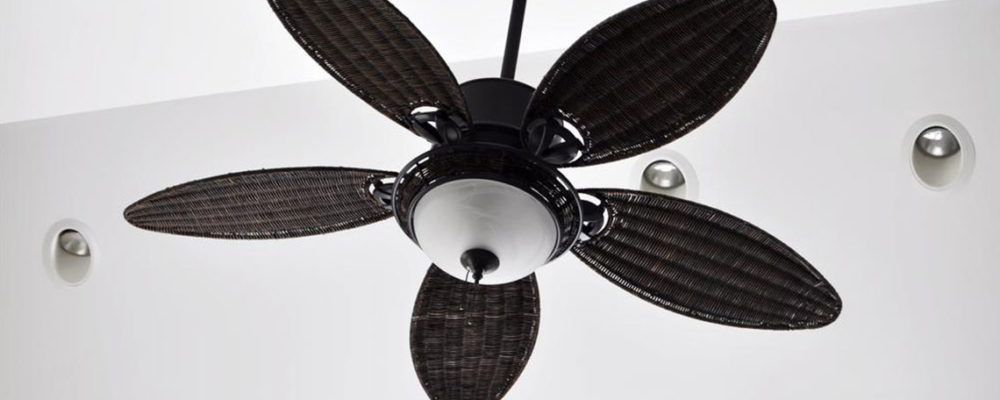Popular ceiling fan brands to watch out for