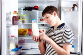 Refrigerators – Choosing from the popular brands