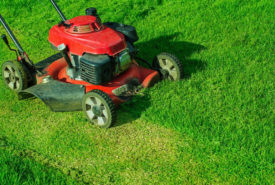 Tips for choosing the best lawn mower