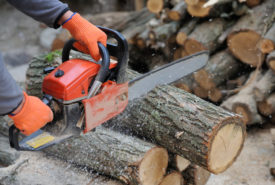 Top Brands to Buy a Chainsaw From