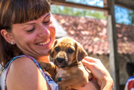Top ten puppy-adoption centers