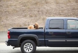 Types of truck bed covers