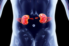 Effective measures to prevent kidney disorders