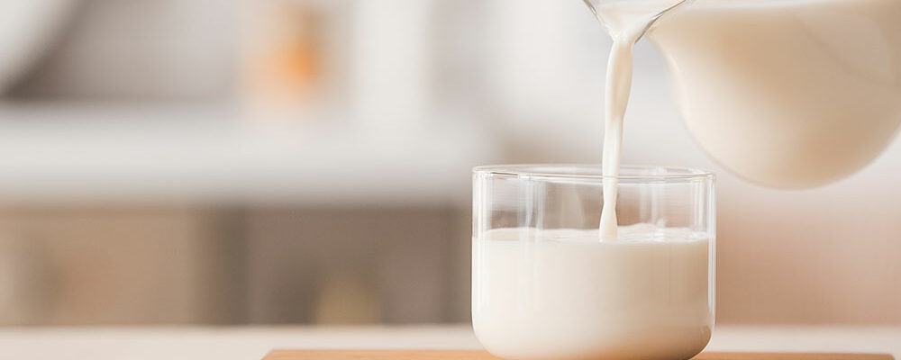4 best lactose-free milk products to buy in 2021