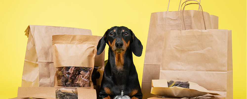 Top 4 monthly puppy subscription boxes