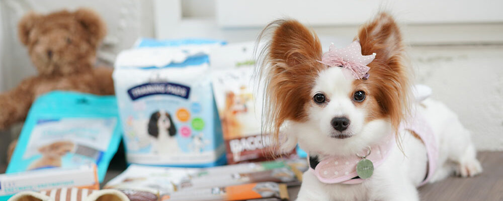 Tips to follow when shopping for pet supplies online